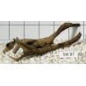 Stump wood 87