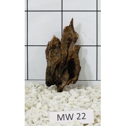 Mangrovewood 22