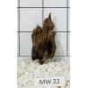 Mangrovewood 22