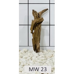 Mangrovewood 23