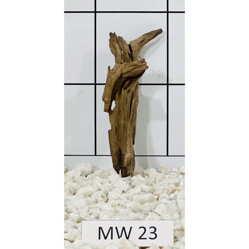 Mangrovewood 23