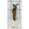 Mangrovewood 23