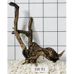Stump wood 91