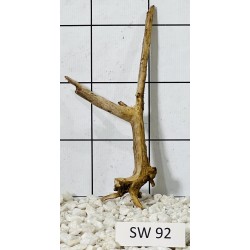 Stump wood 92