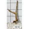 Stump wood 92