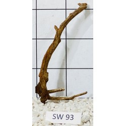 Stump wood 93