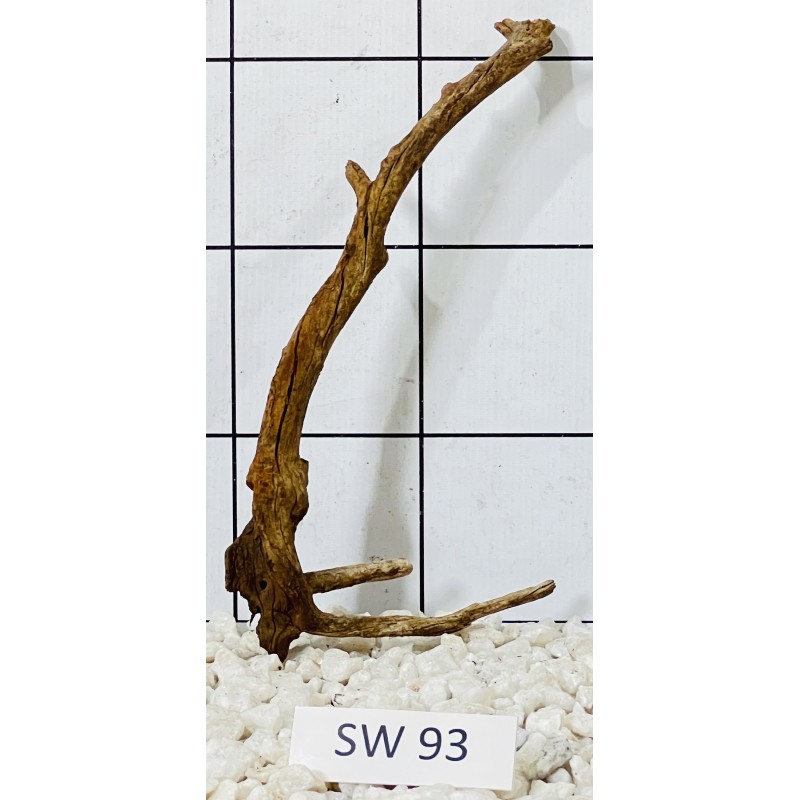 Stump wood 93