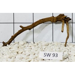 Stump wood 93