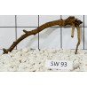 Stump wood 93