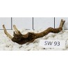 Stump wood 93