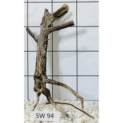 Stump wood 94