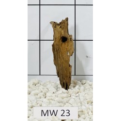 Mangrovewood 23