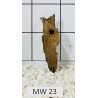 Mangrovewood 23