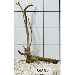 Stump wood 95