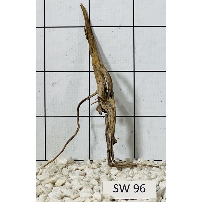 Stump wood 96