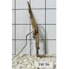 Stump wood 96