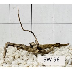 Stump wood 96