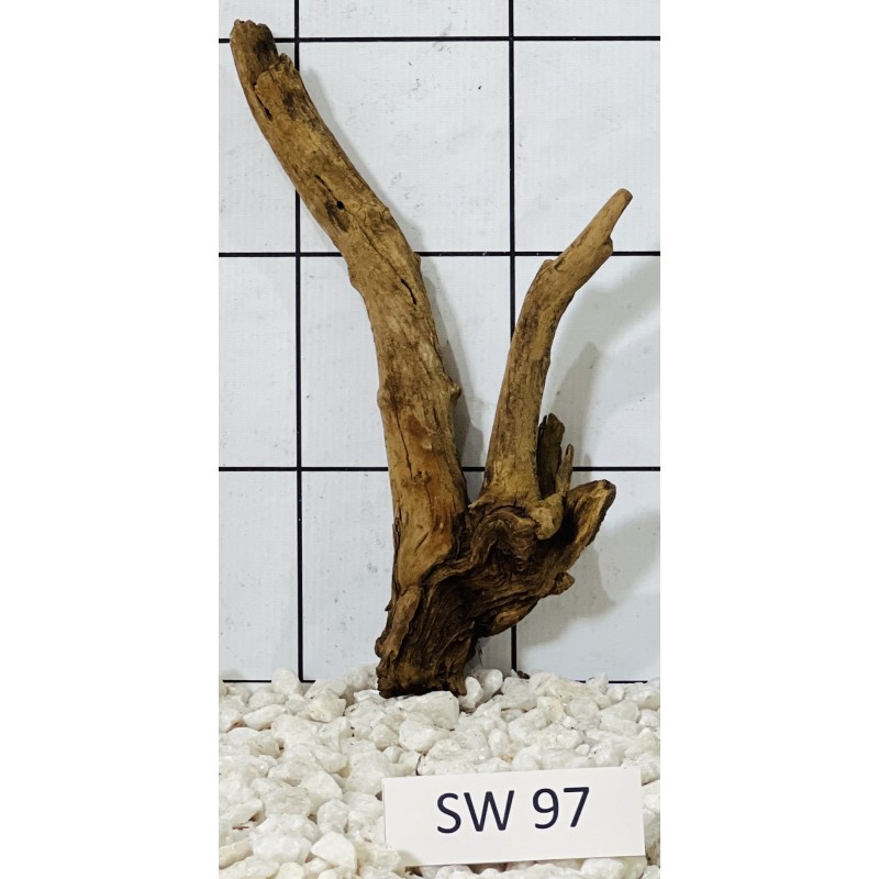 Stump wood 97