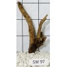 Stump wood 97
