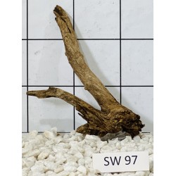 Stump wood 97