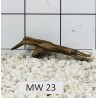 Mangrovewood 23