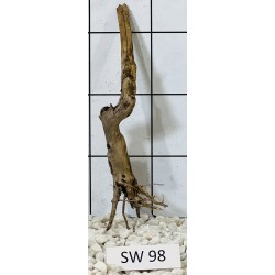 Stump wood 98