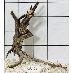 Stump wood 99