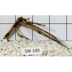 Stump wood 100