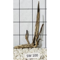 Stump wood 100