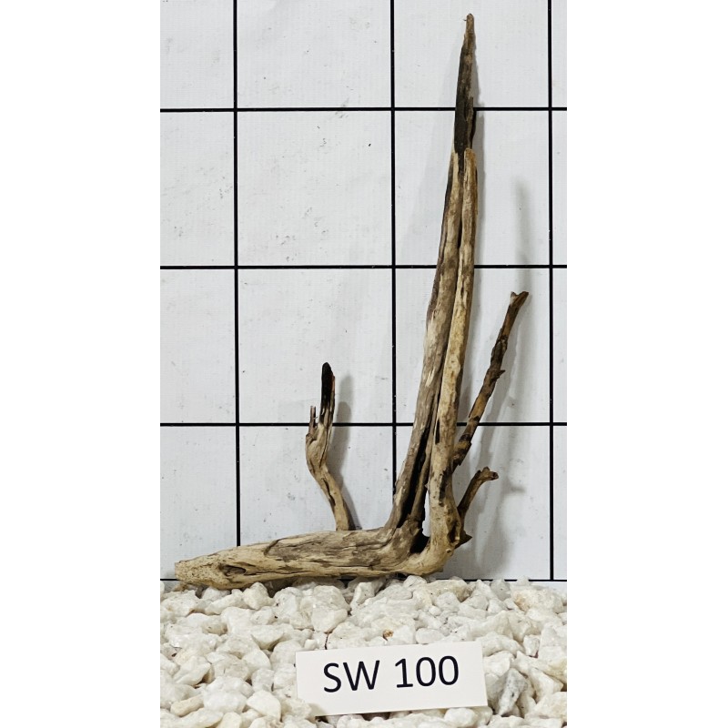 Stump wood 100