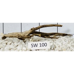 Stump wood 100