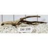 Stump wood 100