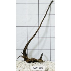 Stump wood 101