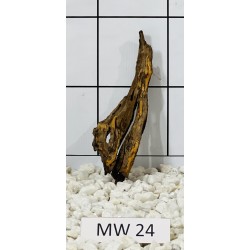 Mangrovewood 24
