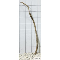 Stump wood 102