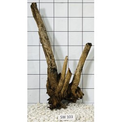 Stump wood 103