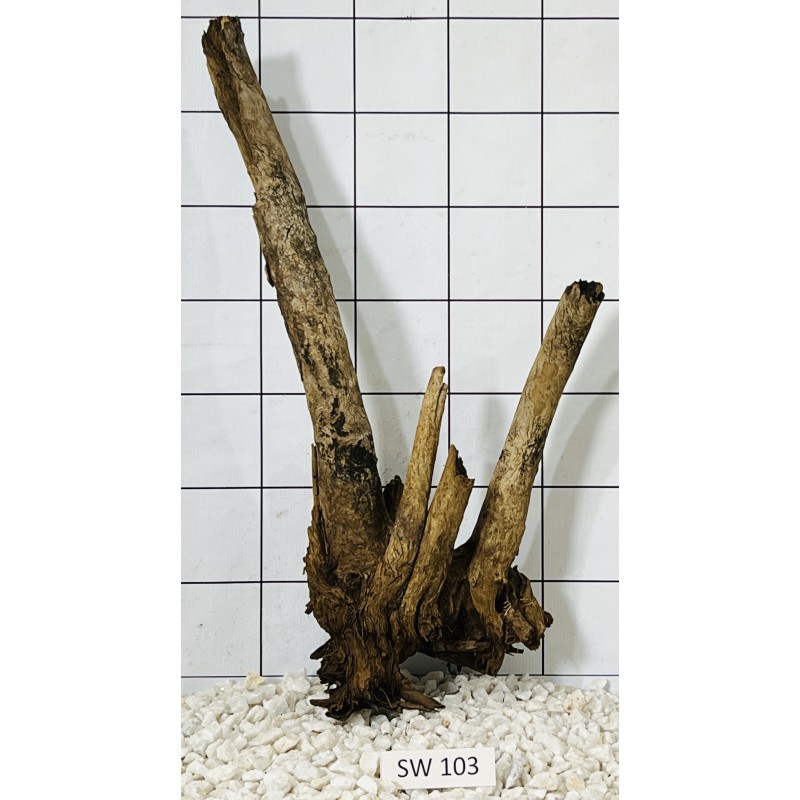 Stump wood 103