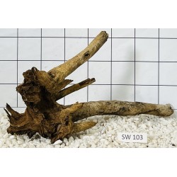 Stump wood 103