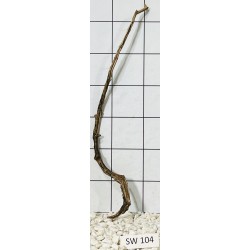 Stump wood 104