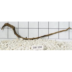 Stump wood 104