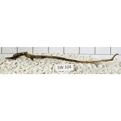 Stump wood 104