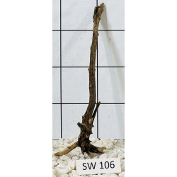 Stump wood 106