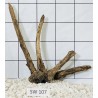 Stump wood 107