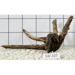 Stump wood 107