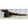 Stump wood 107