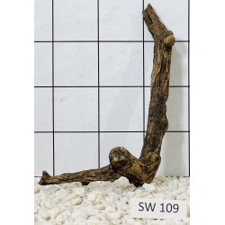 Stump wood 109