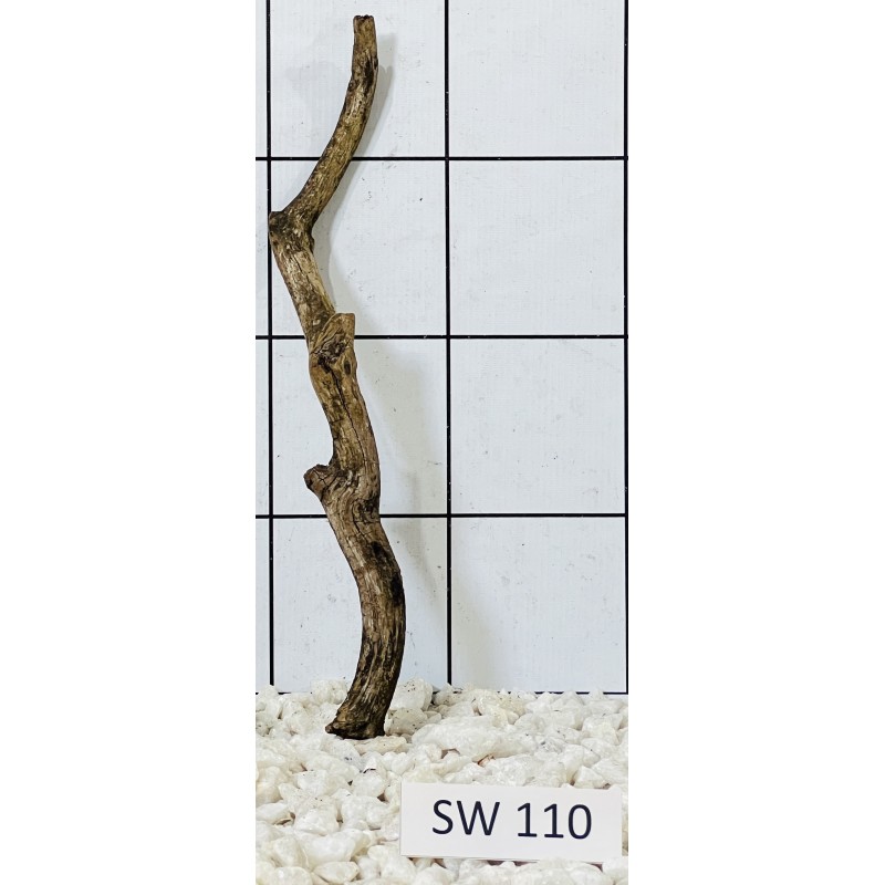 Stump wood 110