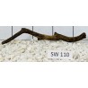 Stump wood 110