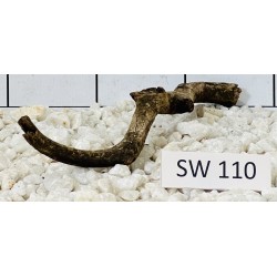 Stump wood 110