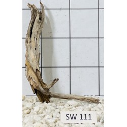 Stump wood 111